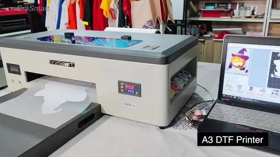 Erasmart Small Desktop Digital Fabric Textile Garment Impresora L1800 A3 Dtf Printer Pet Film Heat Transfer Press Inkjet Tshirt T-Shirt T Shirt Printing Machine